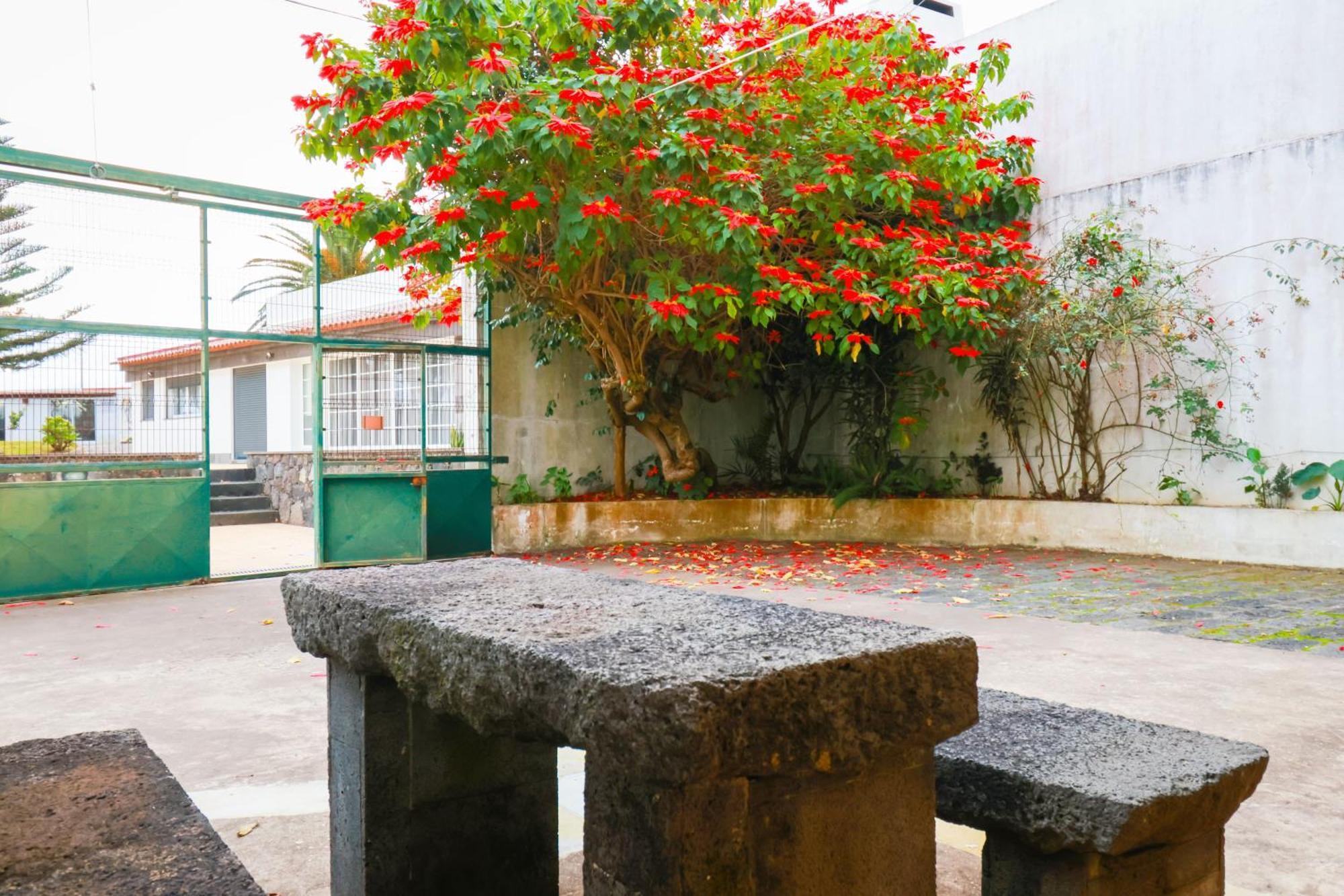 Casa Barao Das Laranjeiras Ponta Delgada Exteriör bild